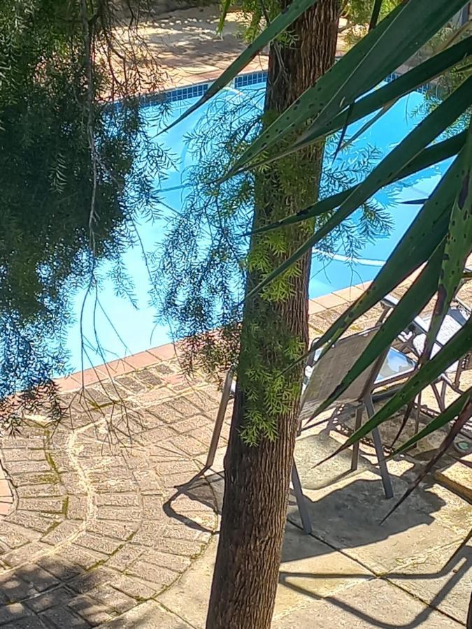 Kruger'S Guest House White River Esterno foto